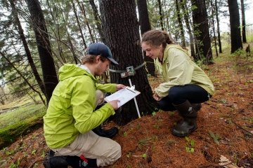 Two students working in the field