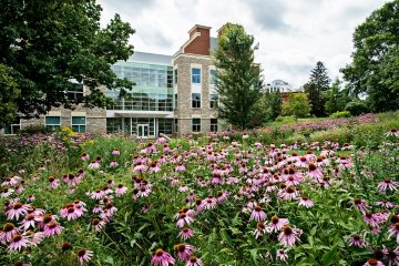 Meadow in front of the Johnson Hall of Science