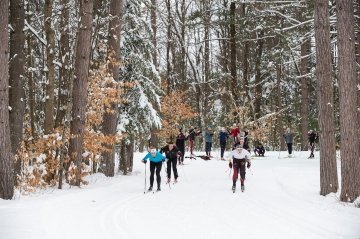 A group of cross-country skiers practice racing on a snowy path in a wooded forest.