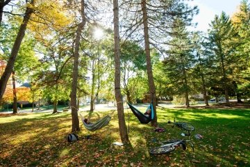 Two Saint Lawrence University students lay in hammocks on a sunny fall day. 
