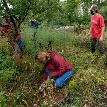 Three students dig in the ground and wrangle brush at Saint Lawrence's permaculture garden on a rainy day.