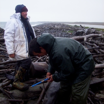 Jon Rosales and a fellow researcher, wearing rain jackets, stand on a pile of rocks and trees along the Alaskan coast. 