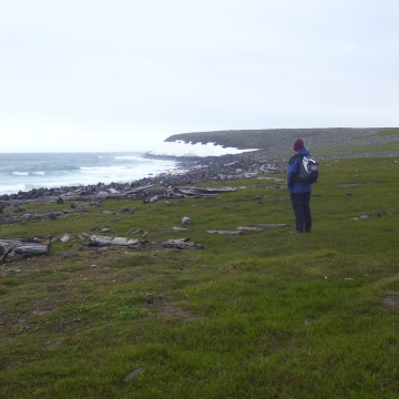 A researcher, wearing a rain jacket and book bag, stands on green grass along the coast in Alaska.