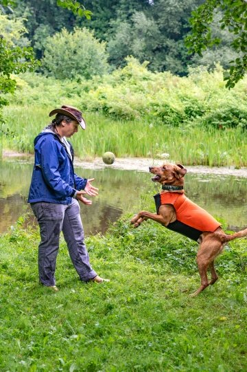 woman playing ball with lab