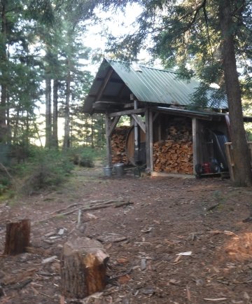 Our sauna, encased in wood, nestled in towering and sapling white pines.