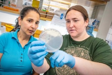 Sara St. Clair '26 working with Ana Estevez 