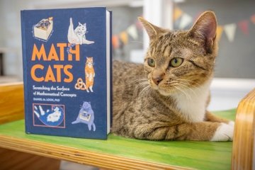 Dan Look's new book pictured next to a kitten
