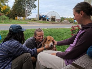 Arcadians Jordanna, Maddy, and Leah petting a dog at North Country Creamery.