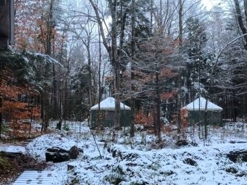 Snow-covered yurts.