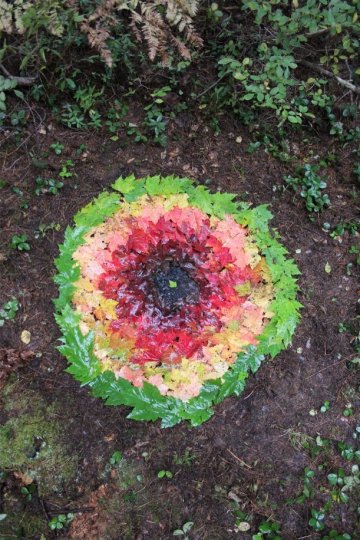 Circle of Life 3