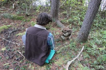 Decomposition of Society 2