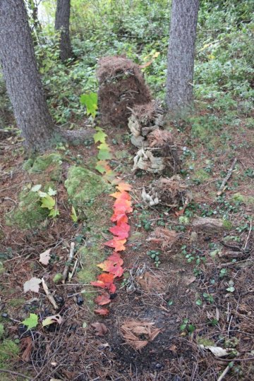 Decomposition of Society 3