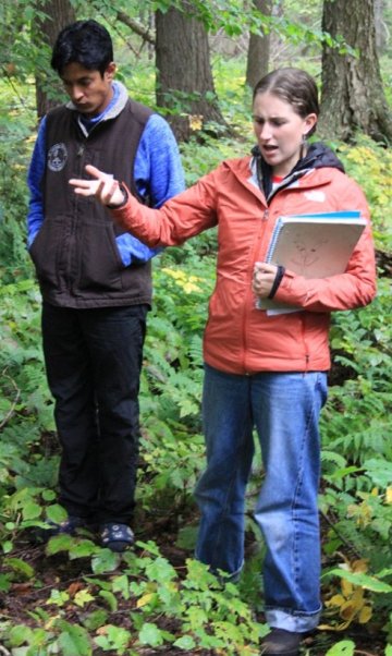 Taming the Ferns 4
