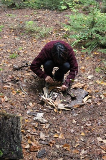 The Forest Before the Trees 1