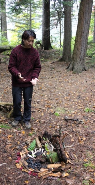 The Forest Before the Trees 2