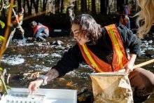 Student doing research in a stream