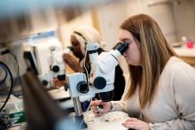 A student peers into a microscope while working in a science lab. 