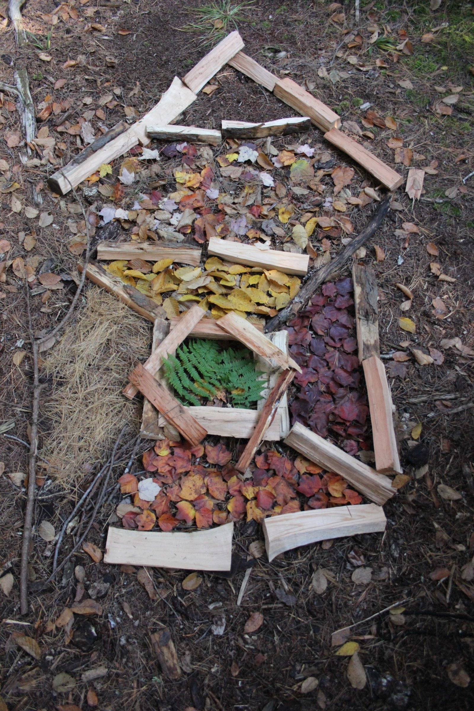 Found Objects, Fractals, and Fibonacci Spirals | St. Lawrence University